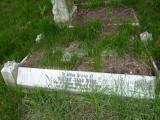 image of grave number 120025
